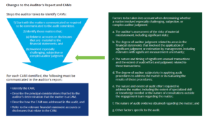 Critical Audit Matters—What To Expect