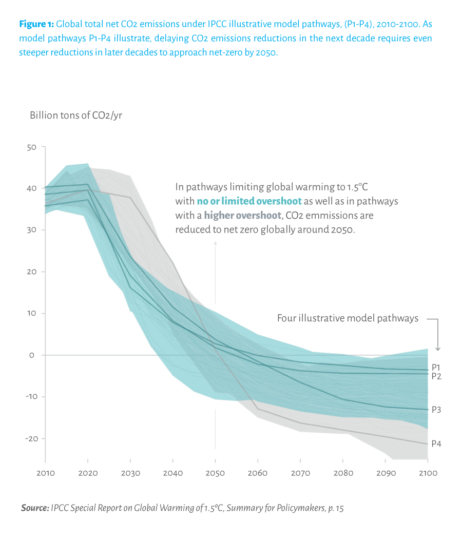 Net-Zero By 2050: Investor Risks in the Context of Deep Decarbonization of Electricity Generation